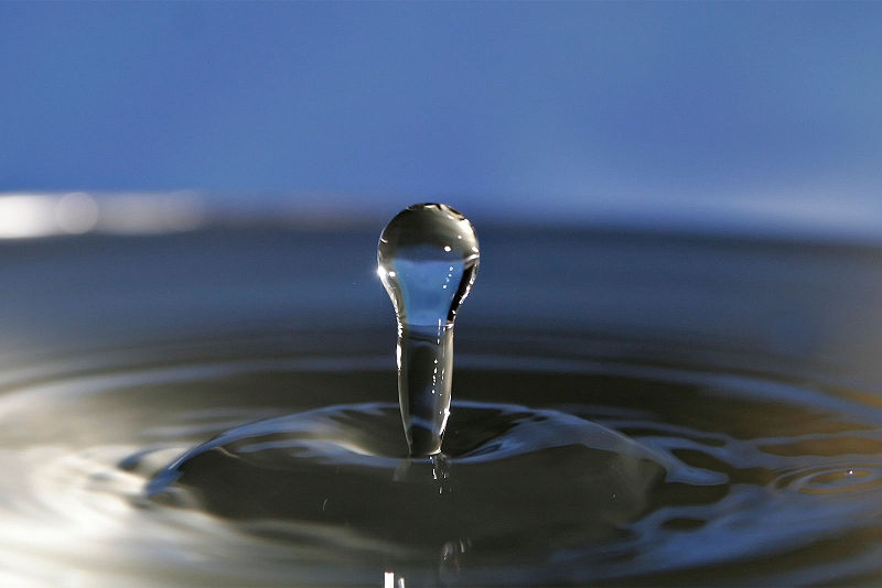 De l'eau dépend la vie sur Terre, chaque cellule étant remplie d'un liquide aqueux. Peut-on trouver d'autres formes de vie qui ne dépendent pas du liquide transparent dans d'autres régions de l'univers&nbsp;?&nbsp;© fir0002, Wikipédia, cc by sa 3.0