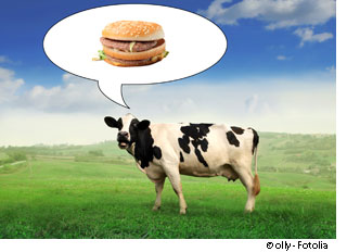 La maladie du hamburger causée par la consommation de viande contaminée pourrait un jour disparaître. © Olly, Fotolia