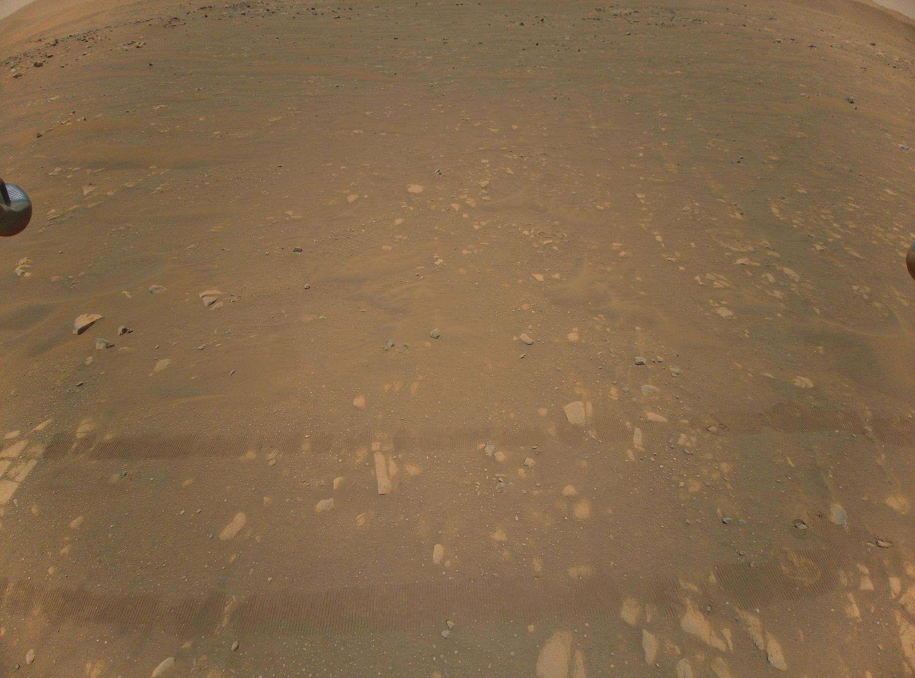 Sur cette troisième image couleur renvoyée par Ingenuity aux ingénieurs de la Nasa, on devine encore les traces laissées par le rover Perseverance au sol. Mais d’autres images le montrent bien plus clairement. © Nasa, JPL-Caltech