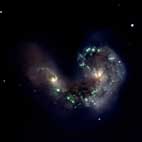 Cliquer ici pour agrandir l'imageLes antennes, NGC4039 : sous la force liée à la collision de deux galaxies, des étoiles se forment de maniè