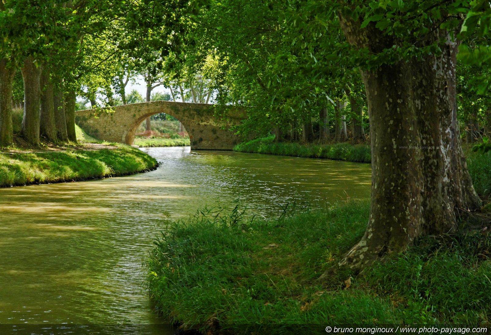 Le canal du Midi est inscrit sur la liste du patrimoine de l'humanité de l'Unesco depuis 1996. Sur les plus de 40 milliers de platanes qui arborent le linéaire, près de 10.000 sont malades et doivent être abattus. © Bruno Monginoux, Landschaft-Foto.com, cc by nc nd