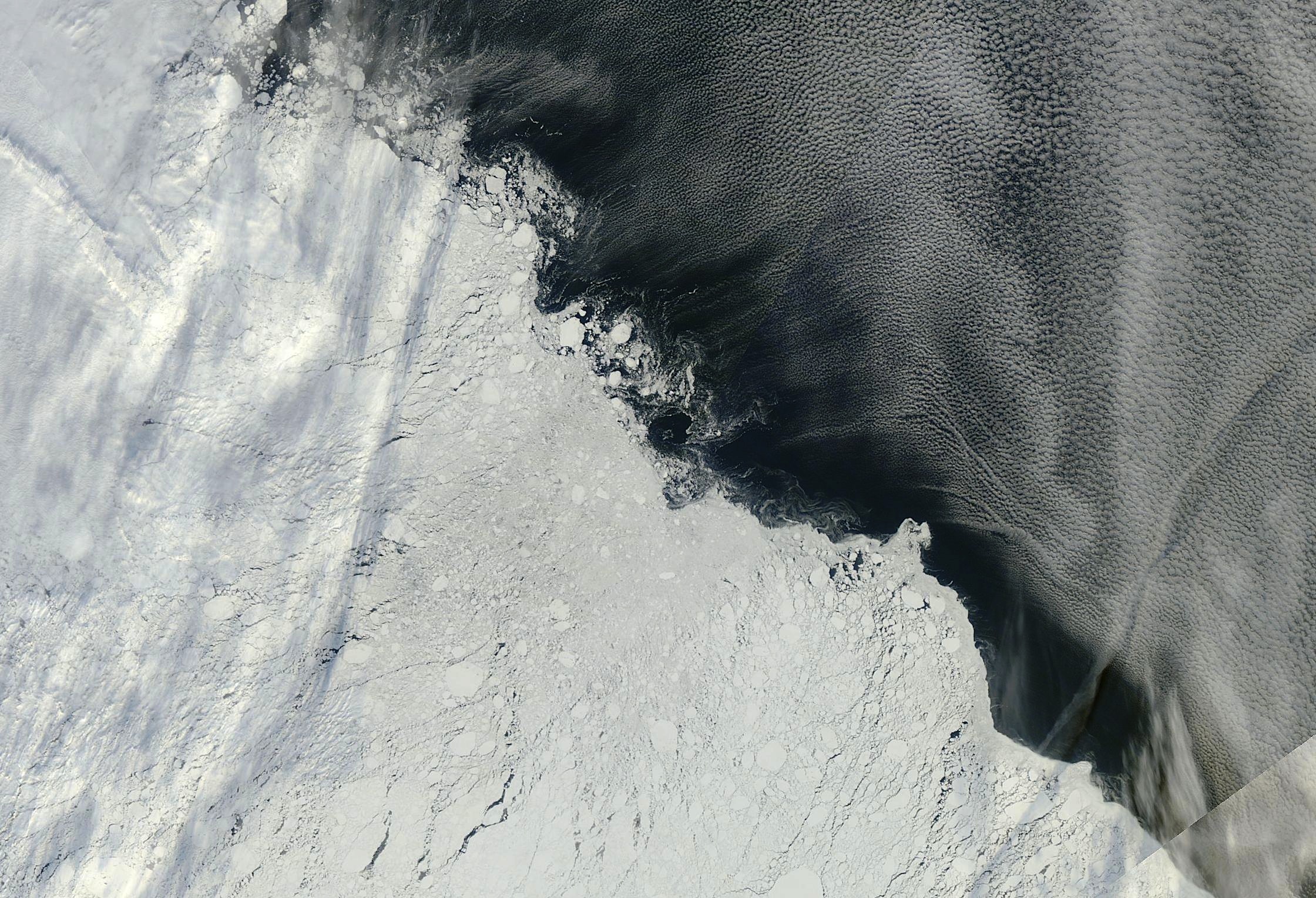 Une image de la banquise arctique au nord-est des îles de Nouvelle-Sibérie, saisie par l'instrument Modis du satellite Terra de la Nasa le 13 septembre 2013. La glace de mer domine la moitié inférieure gauche de l'image. À droite se trouve l'océan, surmonté de formations nuageuses. © Nasa Worldview