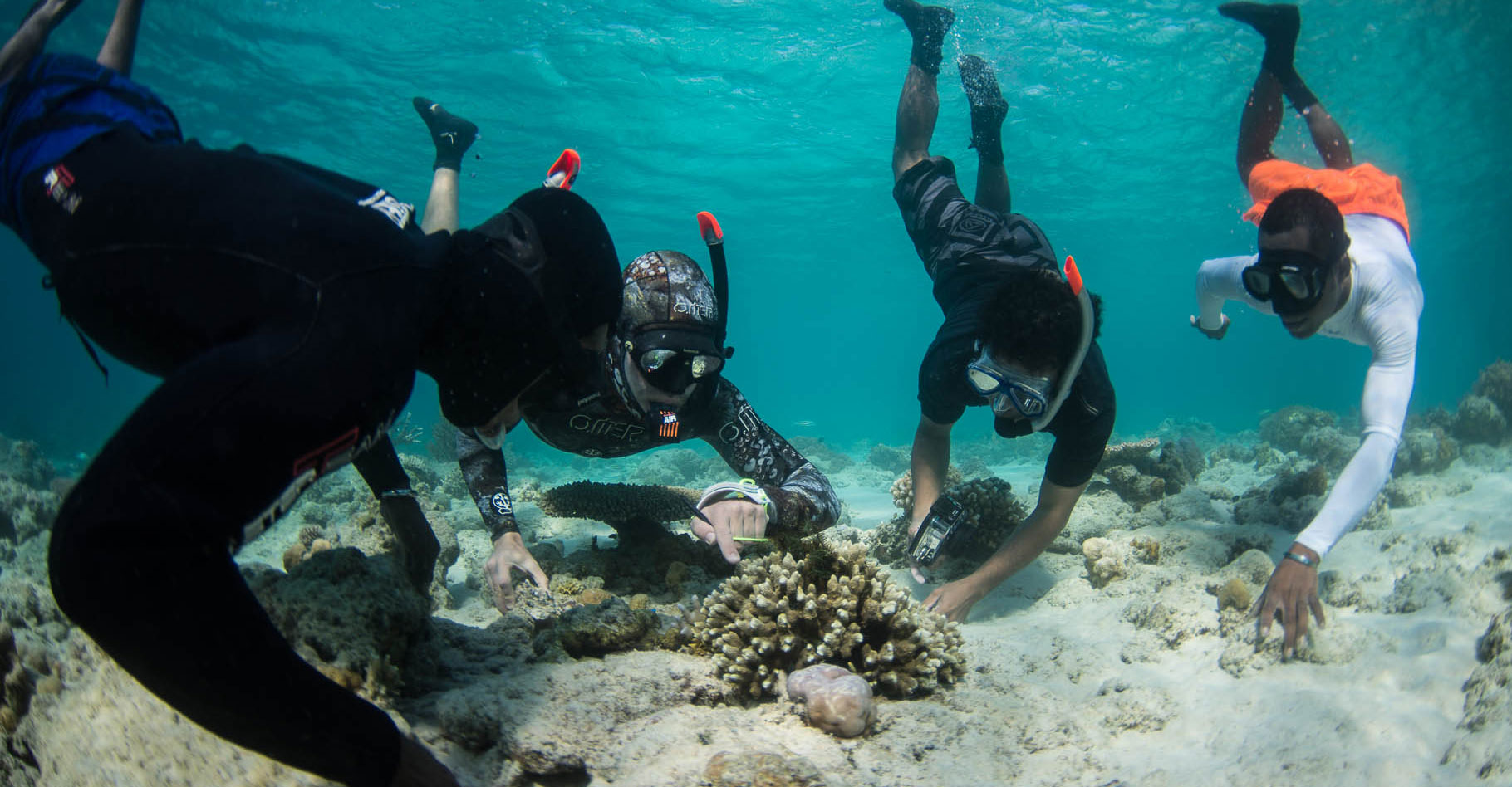 Les coraux doivent faire face au réchauffement climatique. © Coral Guardian, tous droits réservés