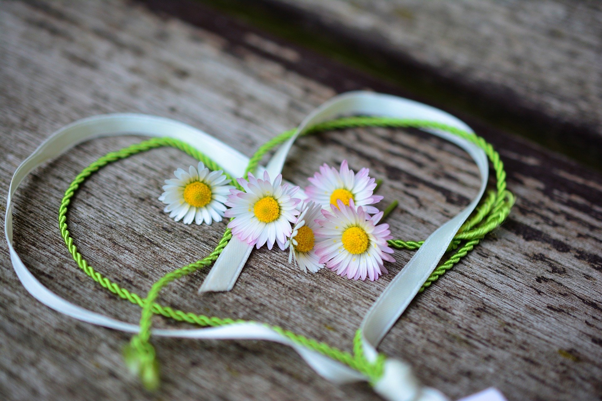 Oubliez les roses, offrez des fleurs plus écologiques pour la Saint-Valentin. © Congerdesign, Pixabay, DP