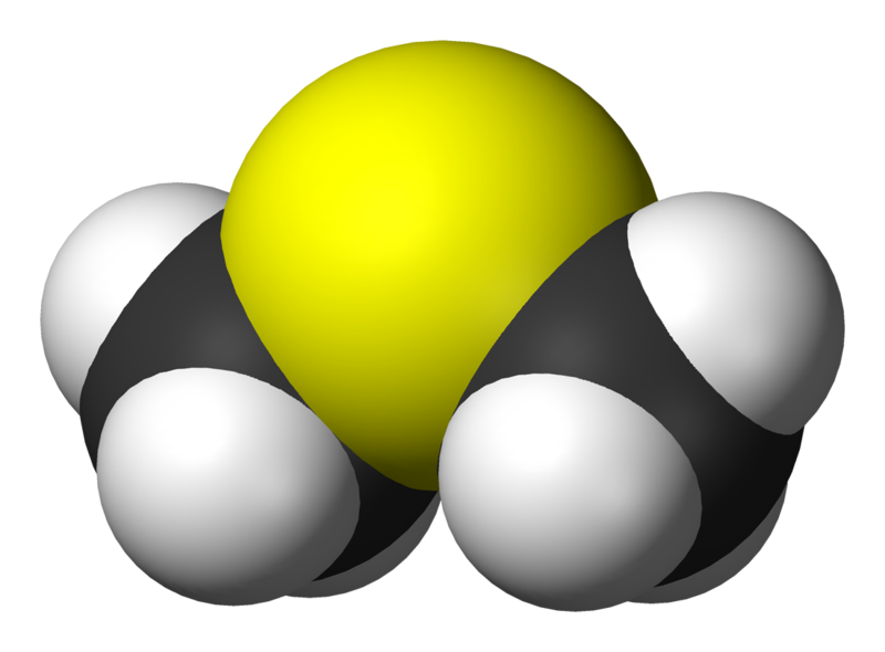 En chimie, les DMS sont des sulfures de diméthyle, composés soufrés dont la formule moléculaire est (CH3)2S. © Benjah-bmm27, Wikipédia, DP