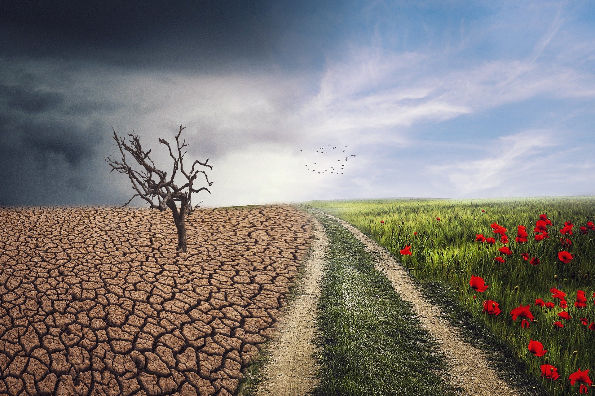 Quels enseignements tirer de la crise du coronavirus pour le changement climatique ? © Enriquelopezgarre, Pixabay, DP