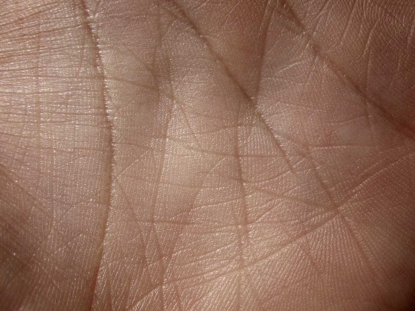 Une peau artificielle arrivera-t-elle un jour à imiter la peau humaine ? Le chemin est encore long mais des avancées importantes ont eu lieu. © Caleb Kimbrough, Flickr, CC by 2.0