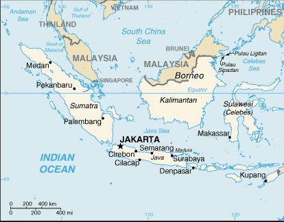 Le Cœur de Bornéo, qui compte 200.000 mètres carré de forêt équatoriale, est le nom donné à l'engagement officiel formulé par l'Indonésie, la Malaisie et le Sultanat de Brunei Darussalam