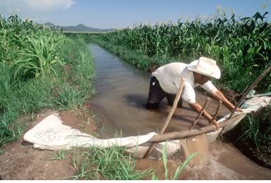 Irrigation au Mexique. De tous les secteurs qui utilisent l'eau douce, c'est l'agriculture qui a la plus faible rentabilité&copy; FAO