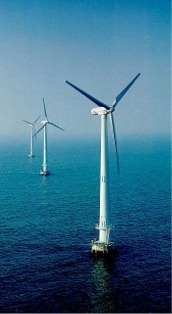 L'impact écologique négligé des éoliennes offshore