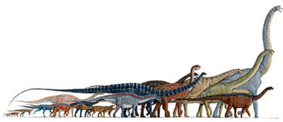 Extinction des dinosaures sans déclin préalable de leur diversité
