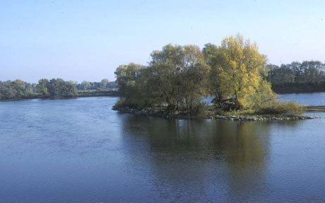Le programme "Loire Nature" et la préservation de l'eau