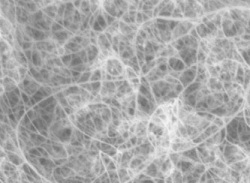 Nanotube vu au microscopeCrédit : http://www.chem.duke.edu