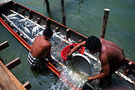 La pêche et l'aquaculture fournissent emplois et revenus tout en renforçant la sécurité alimentaire.