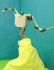 Le robot de Jimmy Or, qui avoue s'être inspiré de l'actrice Lucy Liu pour la danse du ventre (crédit : Jimmy Or)