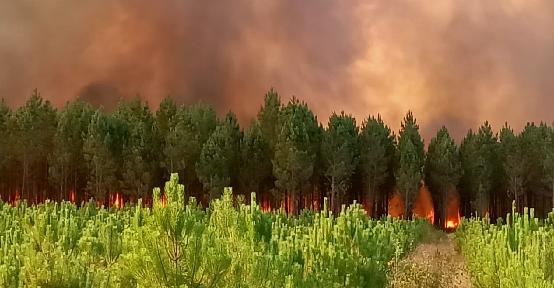 Deux violents feux de forêt se sont déclarés le mardi 12 juillet 2022 en Gironde. © SDIS33