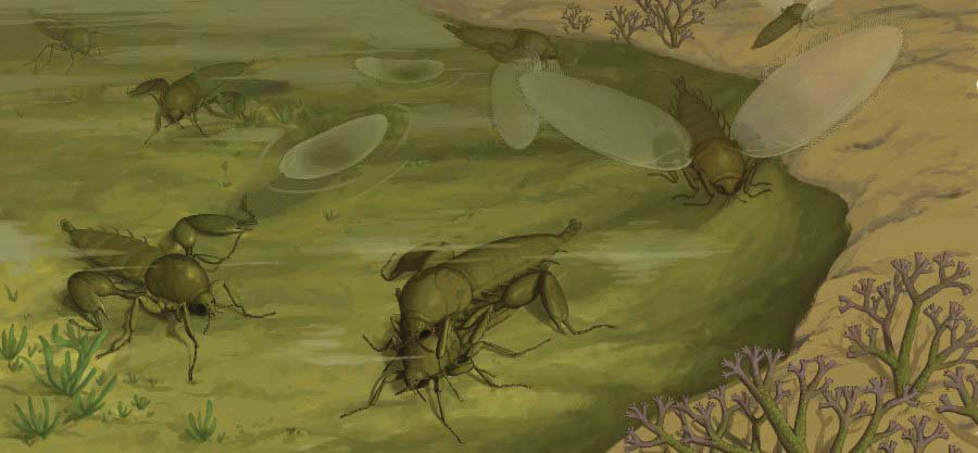 Reconstitution écologique des Strashila daohugouensis à l'époque du Jurassique moyen de Daohugou, en Chine. Il s’agirait des premiers diptères à s’être différenciés. © Huang Diying