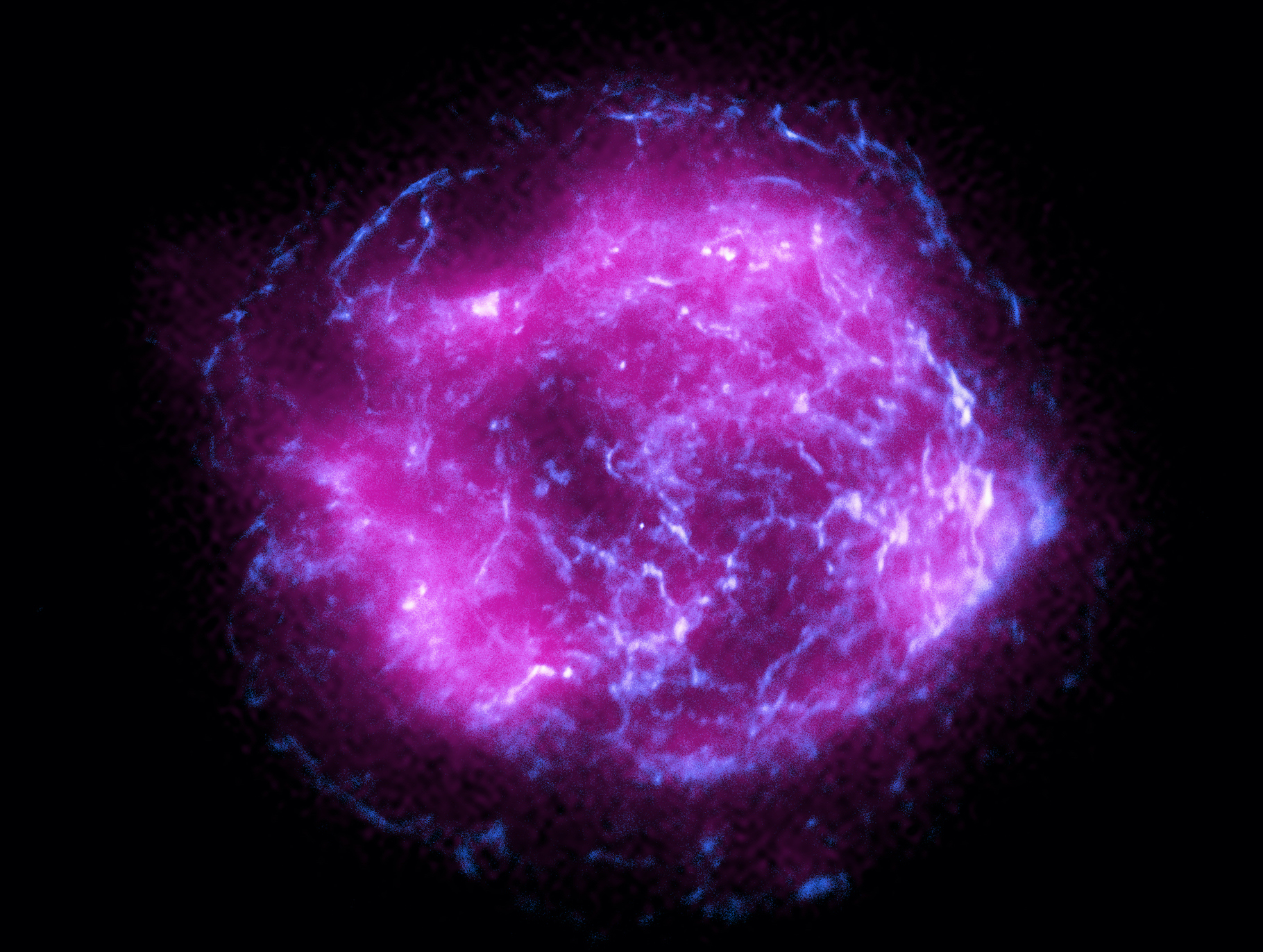 Les premières images du télescope IXPE ont été publiées. C’est Cassiopée A que l’on découvre, ici. En rose, les images de IXPE superposées à celles renvoyées par le passé par Chandra, en bleu. © Nasa, CXC, SAO, IXPE