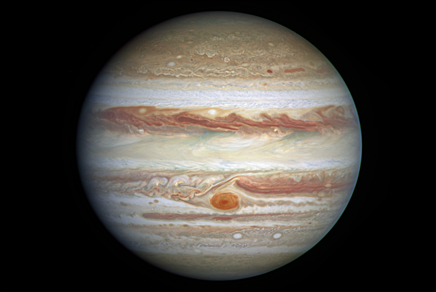 Des observations à l’aide du télescope spatial Hubble montrent que la Grande tache rouge de Jupiter– ici telle qu'elle se présentait en février 2024 – oscille. © Nasa, ESA, A. Simon (GSFC)