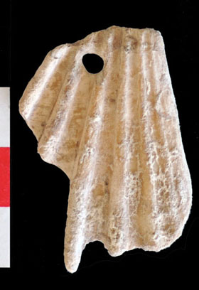 Un bijou du Néolithique :&nbsp;petit pendentif en coquillage, déposé en offrande dans le brand bâtiment collectif de Klimonas.&nbsp;© Jean-Denis Vigne, CNRS-MNHN