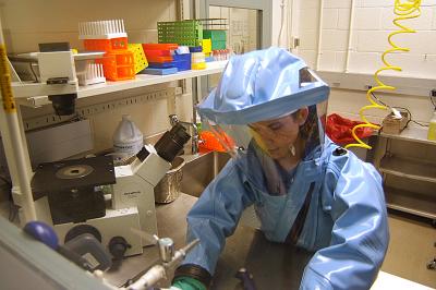 Pour travailler sur le virus Ébola, des mesures particulières doivent être prises. Les scientifiques sont revêtus d'une combinaison protectrice et travaillent dans des laboratoires de classification P4. Ces derniers sont totalement hermétiques et constitués de plusieurs sas de décontamination. © Wikimedia Commons, DP