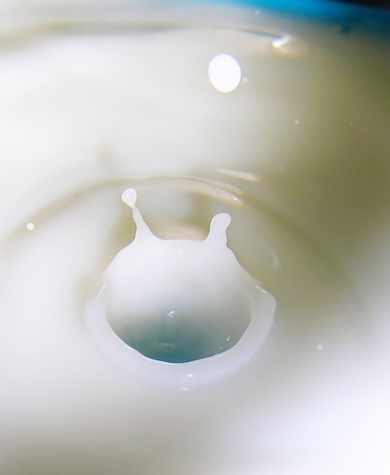 Le lait est un aliment que l'on sait souvent pasteurisé, afin d’obtenir une conservation plus longue. © Tanakawho, Flickr, cc by nc 2.0