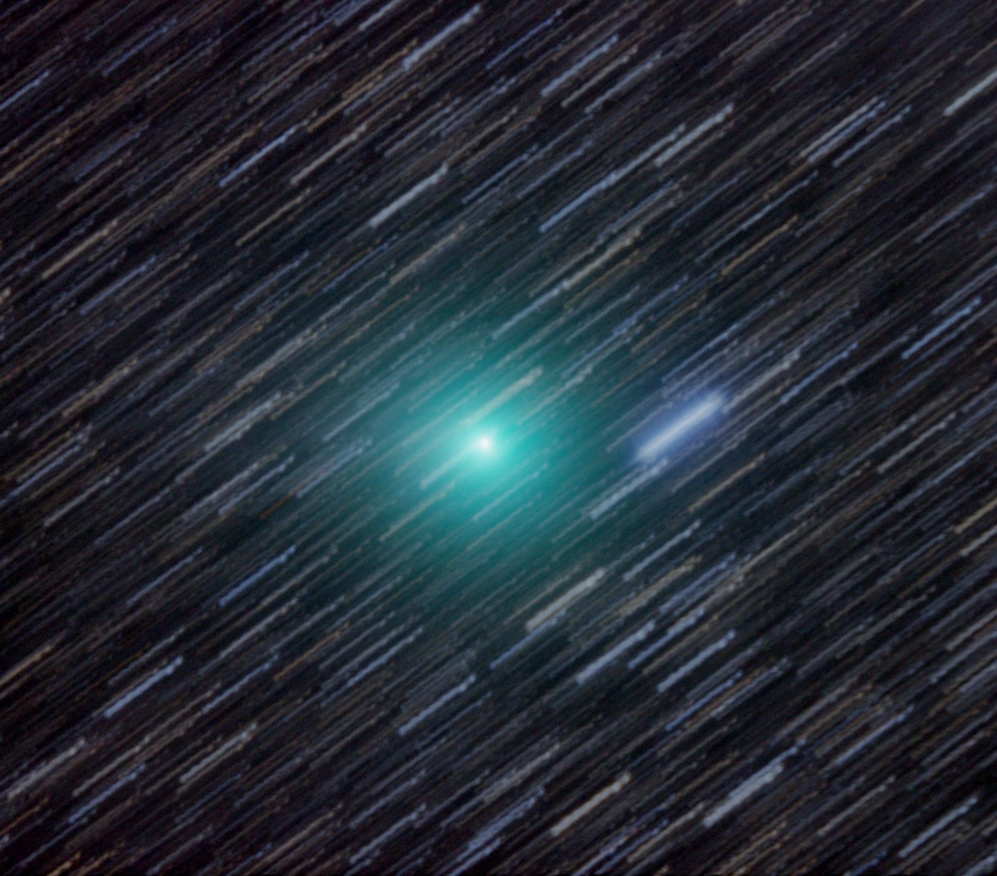 La comète Lemmon photographiée le 23 janvier dernier avec un télescope de 41 cm de diamètre installé en Nouvelle-Zélande. La couleur verte de la comète est produite par la fluorescence du cyanogène (C2N2) et du carbone diatomique (C2). Le télescope a suivi le déplacement de la comète (alors de magnitude 7) pendant les 20 minutes de pose, ce qui explique pourquoi les étoiles ont laissé des traits. © John Drummond