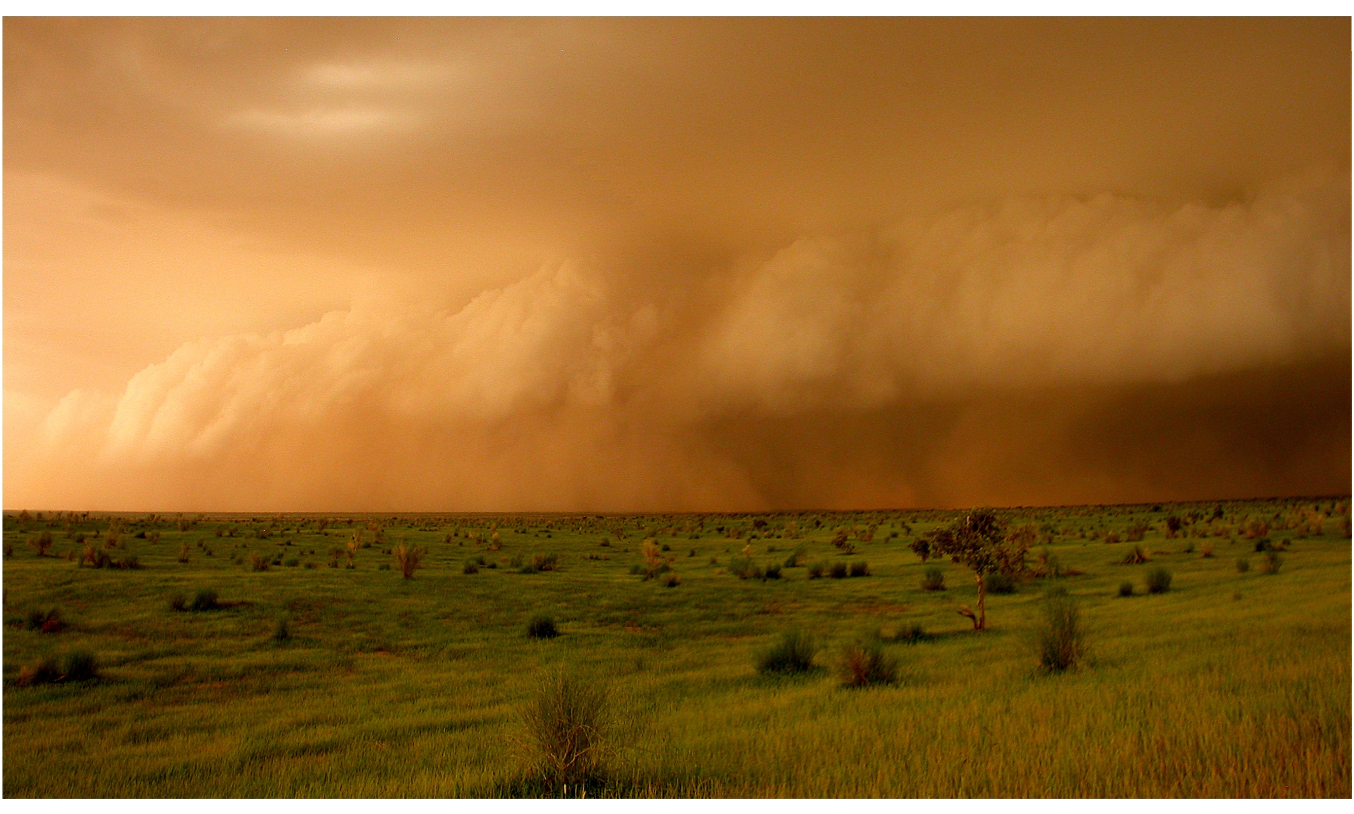 Certains orages forment parfois un front pouvant s'étendre latéralement sur des centaines de kilomètres. Ils produisent alors une ligne de grains. © Françoise Guichard et Laurent Kergoat/CNRS&nbsp;