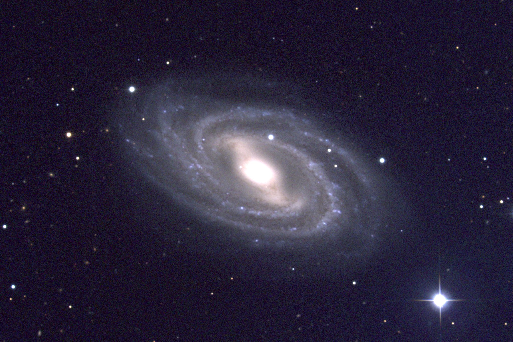 Une galaxie spirale barrée, M 109. Crédit : National Optical Astronomy Observatory/Association of Universities for Research in Astronomy/National Science Foundation