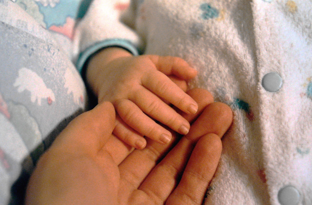 Le lien précoce entre une mère et son bébé, particulièrement étroit chez la plupart des mammifères, marquerait le nouveau-né à jamais et influerait sur certains de ses comportements pour le reste de sa vie. © Clo, Flickr, cc by nc nd 2.0