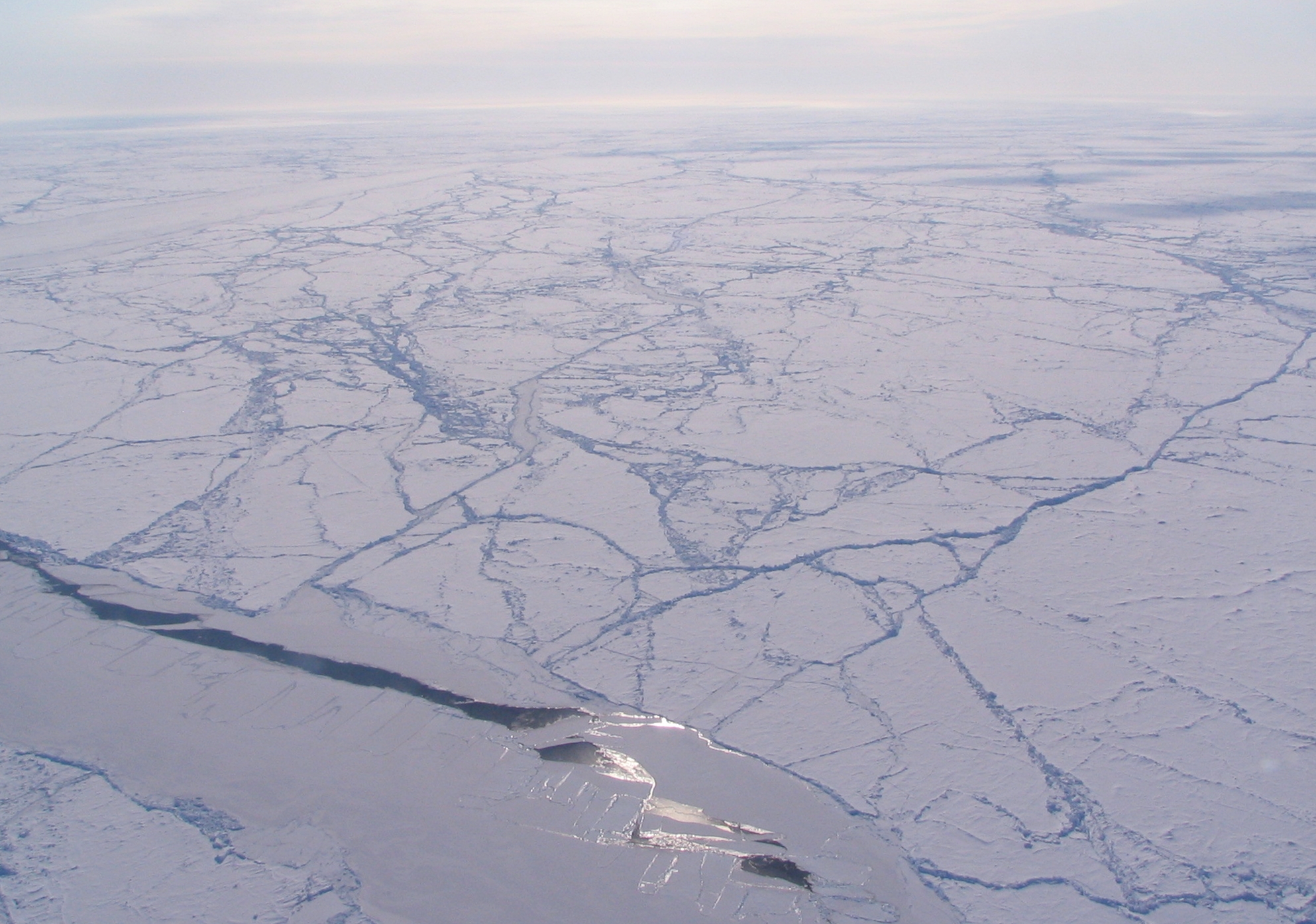 Le soleil se reflète sur la glace de mer du bassin canadien dans l'océan Arctique. Cet automne, le volume total de banquise arctique a diminué de 36 %. © Sinead Farrell, Nasa