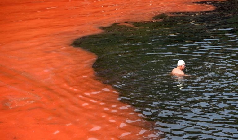  Les algues rouges Noctiluca scintillans&nbsp;envahissent la plage Clovelly de Sydney (le 27 novembre 2012). Cet organisme peut atteindre 1 mm de diamètre.&nbsp;©&nbsp;William West,&nbsp;AFP Photo