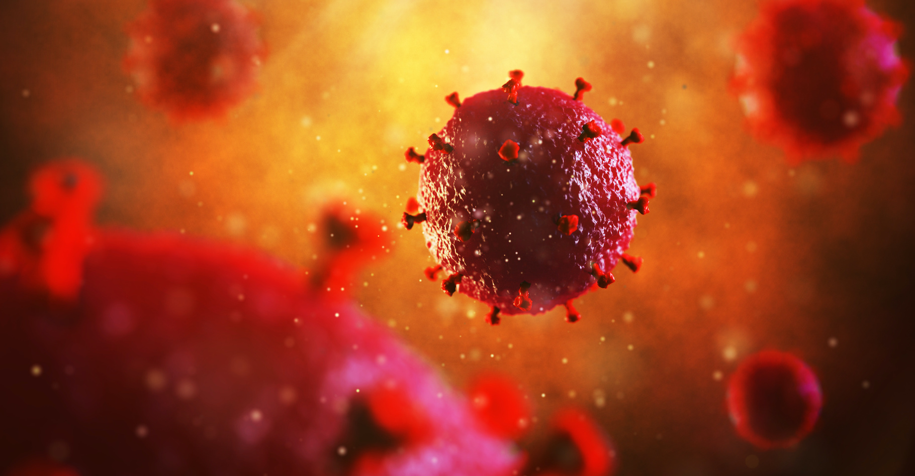 Une cellule peut être infectée par deux virus à la fois. © artegorov3@gmail, Adobe Stock