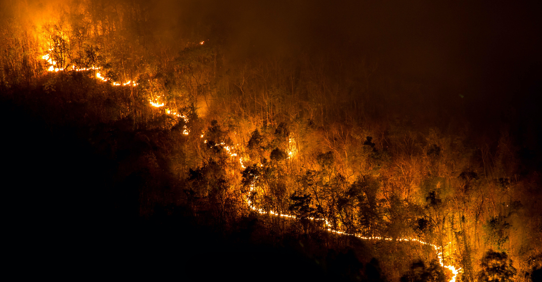 Et si laisser les petits incendies faire leur œuvre pouvait permettre d'empêcher le développement de mégafeux ? © prirach, Adobe Stock