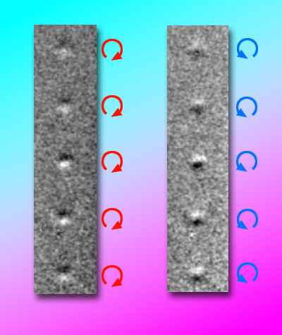 La microscopie électronique à rayons X permet de former des images de l'aimantation des nanodisques magnétiques. On voit ici deux images d'une colonne de ces nanodisques dont la circularité de l'aimantation a été changée. © Lawrence Berkeley National Laboratory 