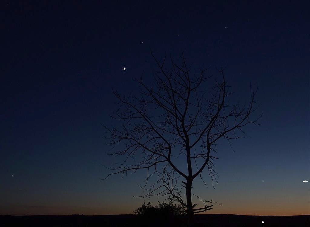 Sur cette image prise en mai 2007, le petit point de Mercure en bas à droite (flèches) ne peut rivaliser avec l'éclat de Vénus, légèrement à gauche au-dessus de l'arbre. Crédit J-B Feldmann 

