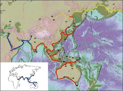 Aperçu des grandes vagues migratoires humaines depuis l'Afrique et en direction du continent nord-américain, d'après Journal of Biogeography.