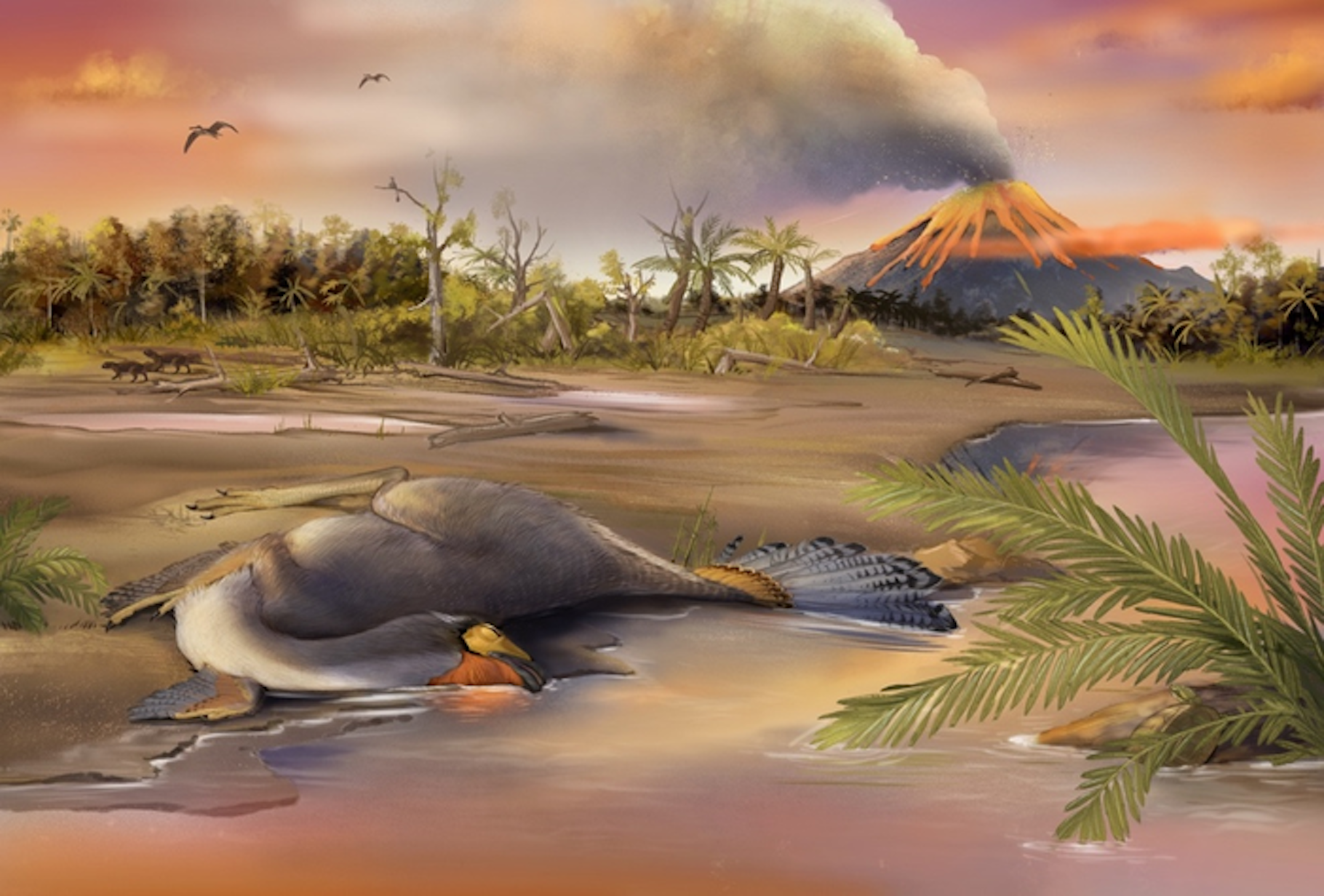 Une reconstitution de la région dans laquelle ont été trouvés les fossiles du dinosaure que des chercheurs ont étudiés pour y découvrir des molécules organiques vieilles de 125 millions d’années. © Qiuyang Zheng, Institut de paléontologie des vertébrés et de paléoanthropologie