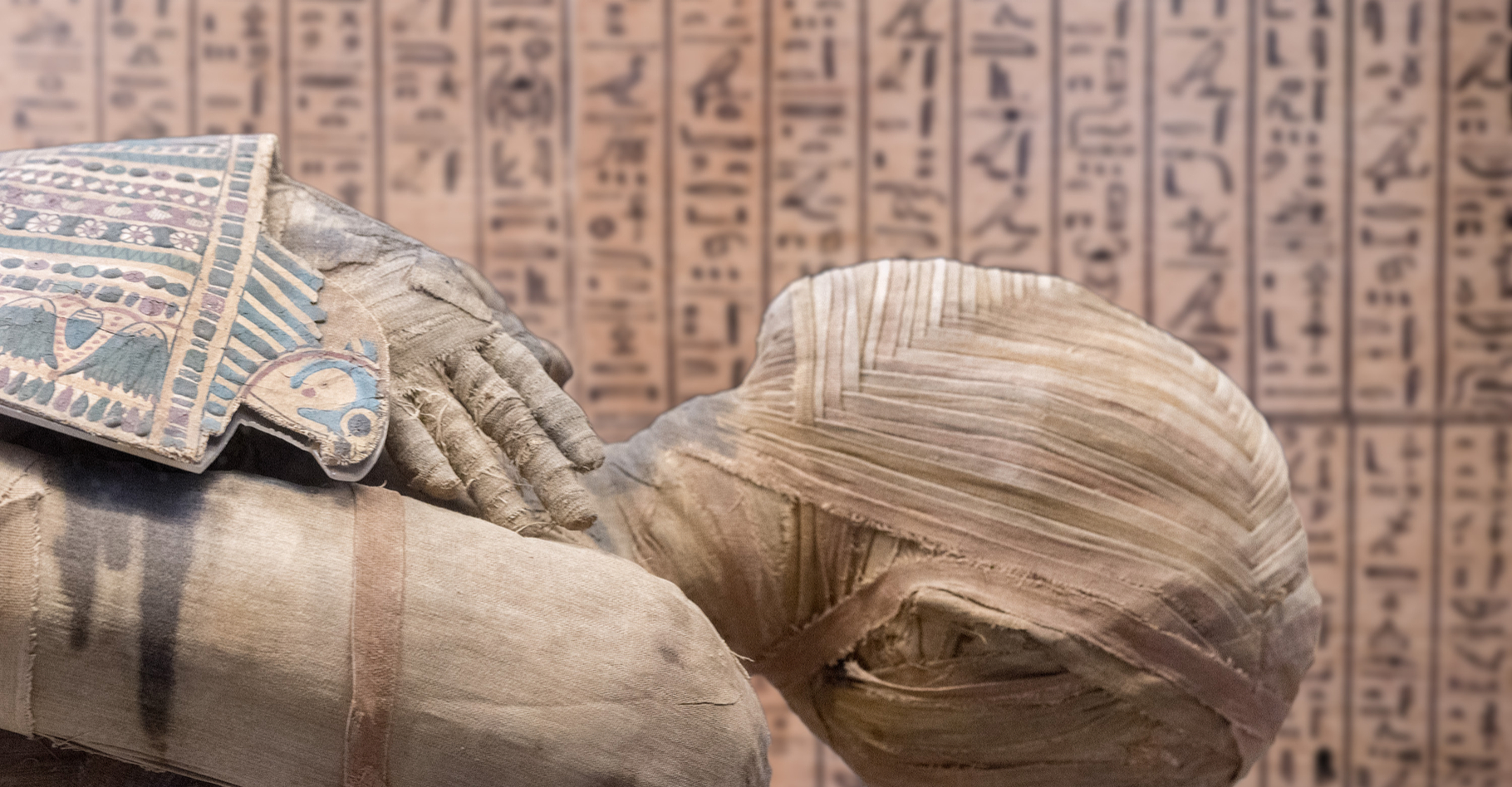 Une momie égyptienne. © Andrea Izzotti, Shutterstock