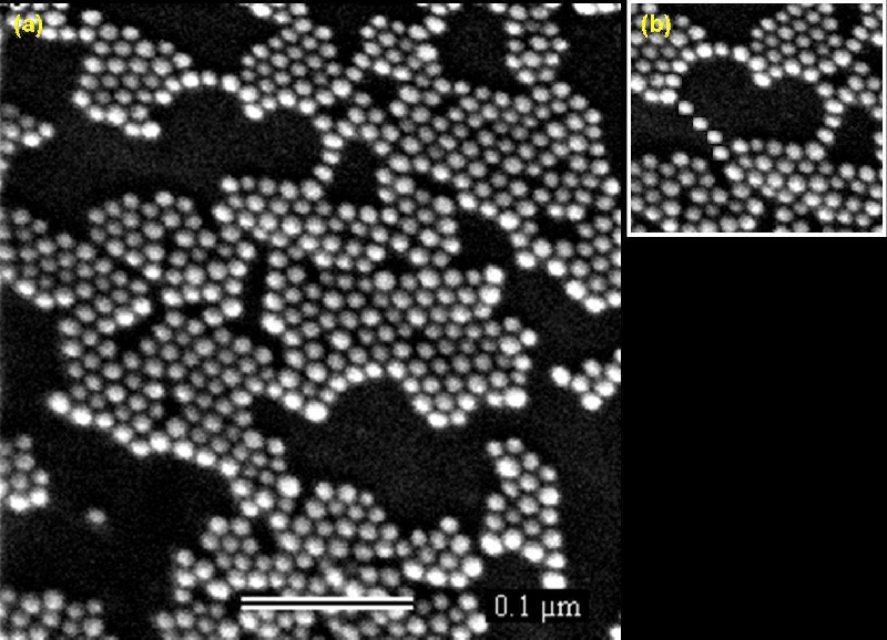 Nanoparticules d'or synthétisées au laboratoire et déposées sur un substrat fonctionnalisé. Crédit : LPCNO (Laboratoire de Physique et Chimie de Nano-Objets)/Insa Toulouse
