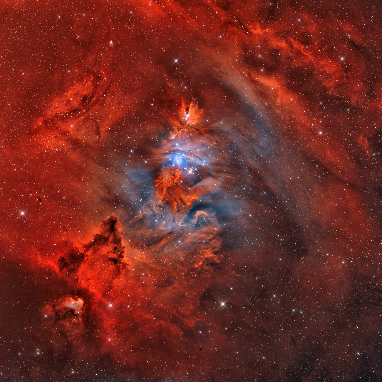 NGC 2264, la nébuleuse du Cône, révèle toute sa beauté et la richesse de ses couleurs sur cette superbe image représentant 14 heures de poses photographiques. © Rolf Geissinger 