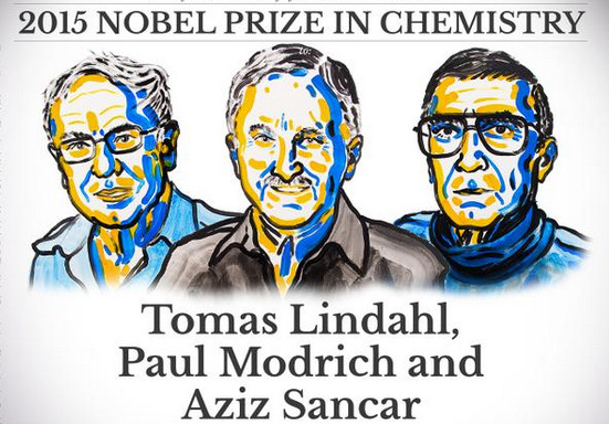Les trois lauréats du prix Nobel de chimie 2015 ont décrit les mécanismes moléculaires de réparation de l'ADN. © Comité Nobel