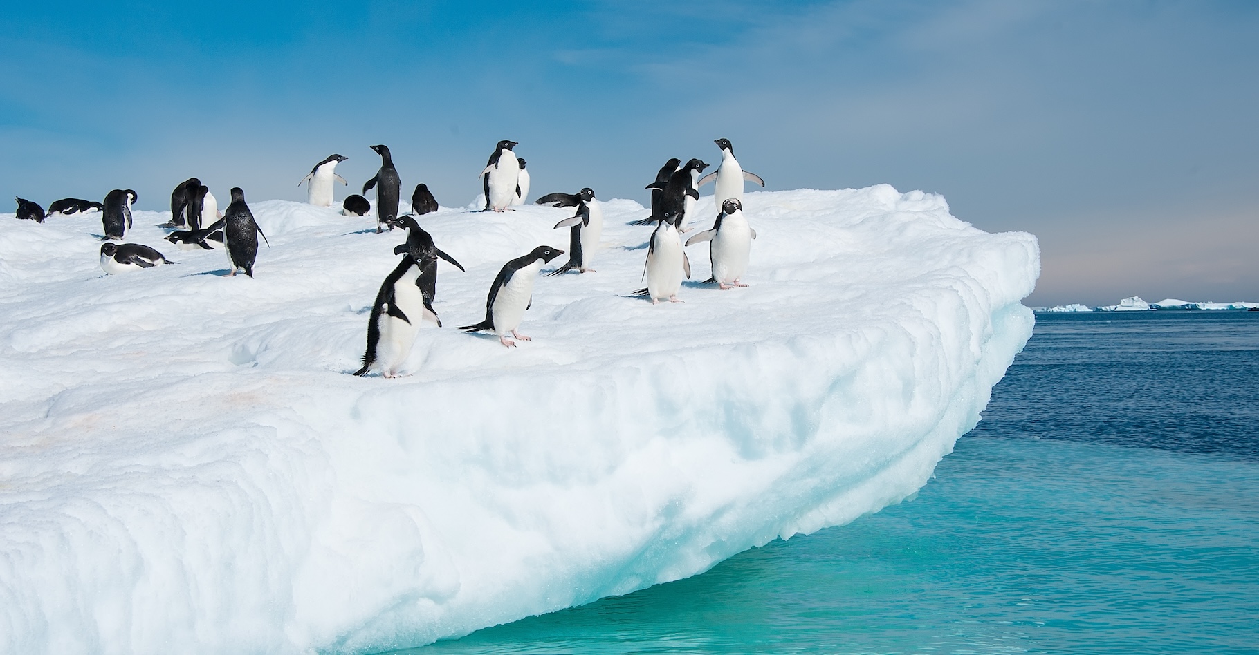 Des chercheurs de la British Antarctic Survey (BAS) ont découvert une nouvelle façon dont la glace de l’Antarctique pourrait fondre de manière dramatique. © Asya M, Adobe Stock