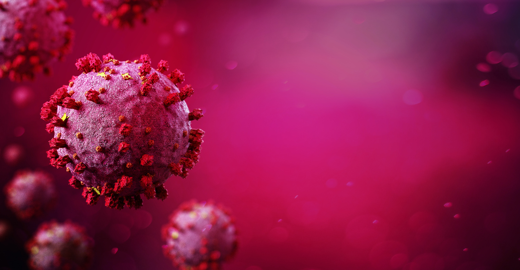 En janvier 2020, un nouveau coronavirus a été identifié en Chine : le SARS-CoV-2. Il est responsable de la pandémie actuelle de la Covid-19. Mais les chercheurs en ignorent encore l’origine exacte. © Production Perig, Adobe Stock