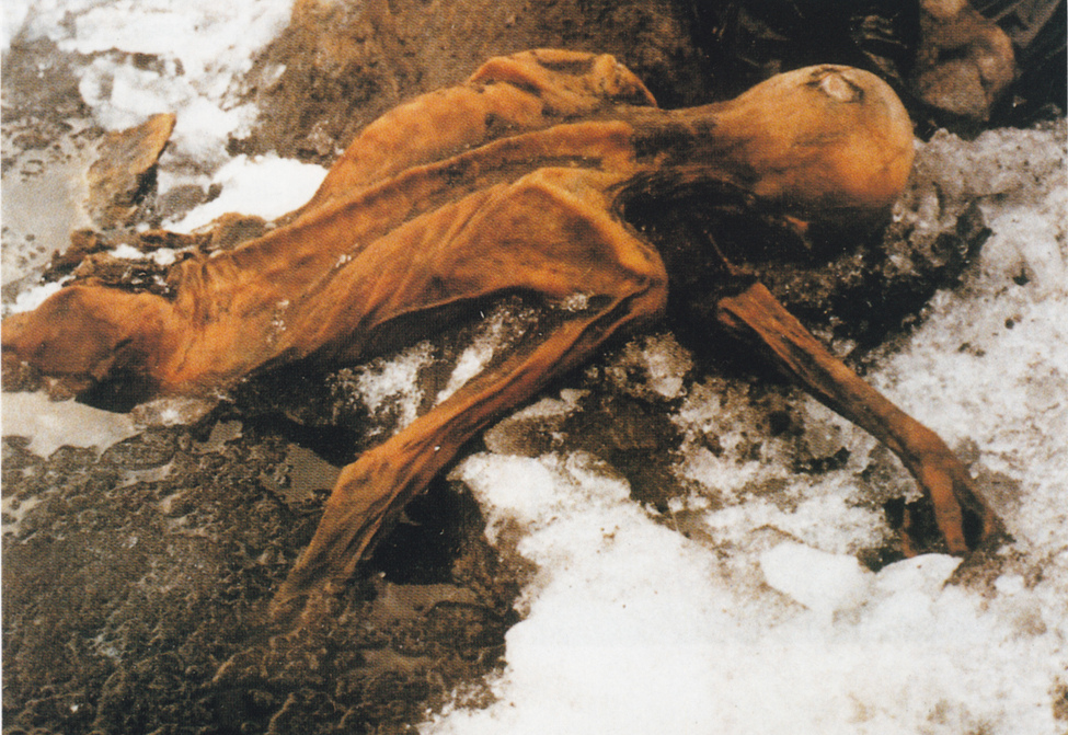 Ötzi est une célèbre momie retrouvée en 1991. Il s'agissait d'un homme ayant vécu il y a environ 4.500 ans dans les Alpes et qui a été conservé toutes ces années dans la glace. Depuis, son ADN, dans un très bon état, a parlé.&nbsp;© Didkovskaya, Flickr, cc by nc 2.0