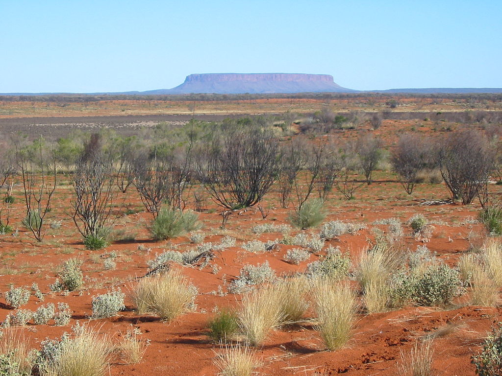 L'outback&nbsp;en Australie est la région centrale. Elle est semi-aride et couvre l'équivalent des deux tiers de l'Europe. Cette zone a subi de fortes précipitations en 2011, suite à l'événement La Niña.&nbsp;© Gabriele Delhey, Wikipédia, GNU 1.2