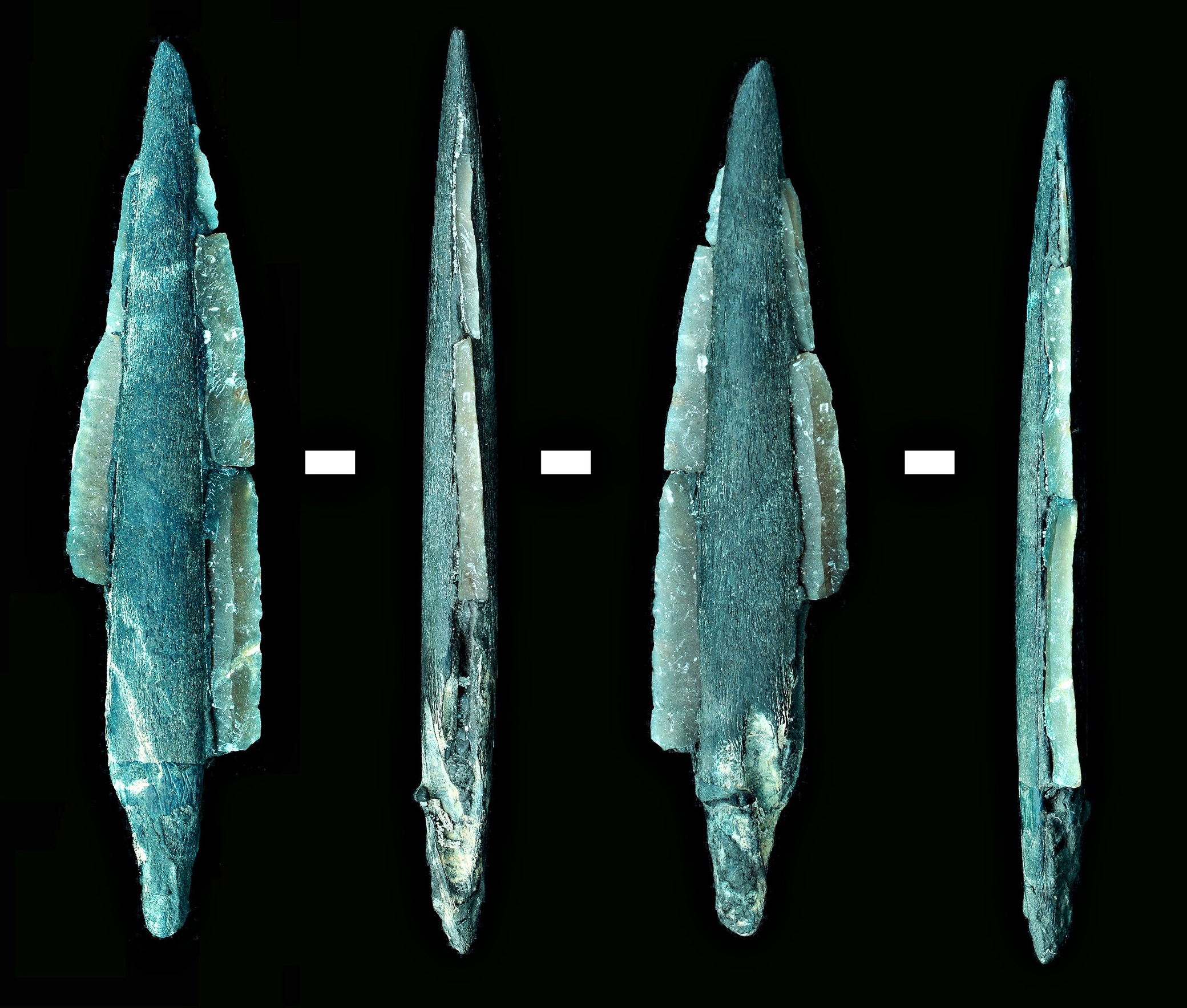 Les premières traces de pêche sont des ossements et des écailles datant de plus de 40.000 ans. &copy; CSIC