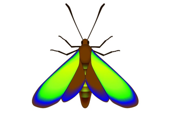 Un papillon fossilisé vieux de 47 millions d'années a retrouvé ses couleurs. &copy; McNamara et al., 2011 - PLoS Biology