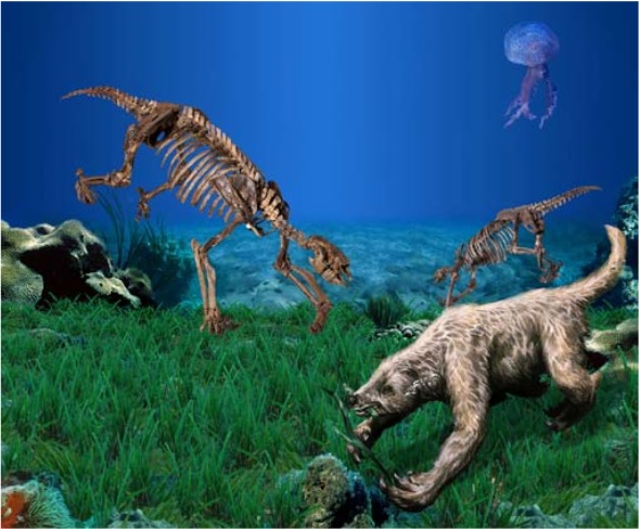 Il y a quelques millions d’années, certains paresseux étaient aquatiques et trouvaient leur nourriture dans les fonds marins peu profonds. © Philippe Loubry, William L. Parsons 