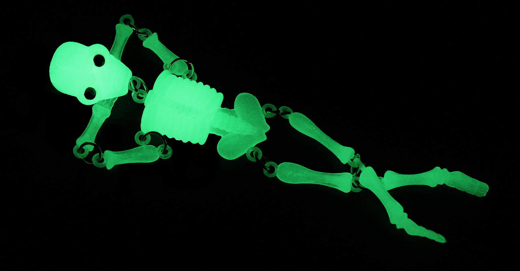 Un squelette en plastique photoluminescent. © Maksim Kaborda, Shutterstock